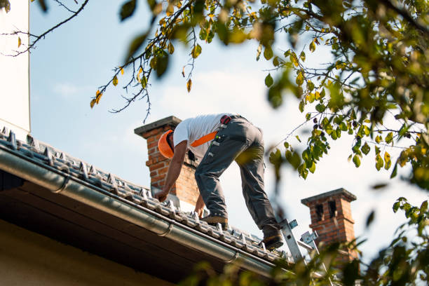 Quick and Trustworthy Emergency Roof Repair Services in Sedgwick, KS